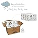 Naty by Nature Babycare Eco-Friendly Premium Disposable Diapers for Sensitive Skin, Size Newborn, 4 Packs of 26 (104 Count) (Chemical, Chlorine, Perfume Free)