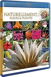 Antoine - Naturellement... - Fleurs & Plantes