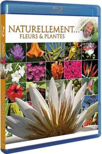 Antoine - Naturellement... - Fleurs & Plantes