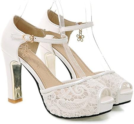 SFNLD Women's Sweet Peep Toe Low Cut Mesh Platform Ankle Strap High Chunky Heel Pumps Shoes with Buckle
