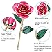 24K Rose Christmas Her, Eternal Love Plated Rose Flower, Best Present for Wife/ Lover / Girlfriend Anniversary, Wedding, Birthday,