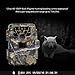 Trail Camera, Bestguarder Waterproof IP66 Game Camera Life Sercurty Wildlife Digital Camera With 12 MP 1080P HD Time Lapse 65ft 60° Wide Angle Infrared Night Vision 36pcs IR LEDs 2.0