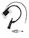 STRONGTHIUM 212cc GX160 Ignition Coil Assemlby for