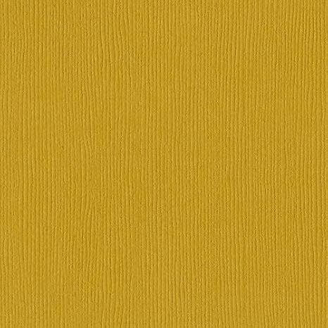 Amazoncom Bazzill Yukon Gold 12x12 Textured Cardstock 80 - 