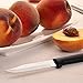 RADA Cutlery Regular Paring Knife (W201), 3.25
