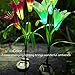 Homestarry Solar Garden Lights Outdoor, 2 PCS Solar Powered Lights with 8 Lily Flower, Multi-Color Changing LED Solar Stake Lights for Garden, Patio, Backyard (Purple/White)