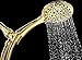 Aquarius Gold Shower Head With Handheld Sprayer, 6 Spray Settings High Pressure Polished Brass Showerhead With Hose (Extra Long) & Adjustable Brass Ball Bracket Kit, Shower Head Gold Finish