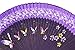 Wise Bird Chinese Japanese Folding Hand Fan, Fashion Accessories Vintage Retro Style 8