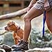 EzyDog ZERO SHOCK Leash - Best Shock Absorbing Dog Leash, Control & Training Lead (25