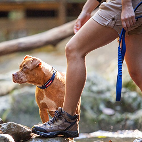 image for EzyDog Zero Shock Leash - Best Shock Absorbing Bungee Dog Leash & Trai