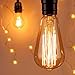 ST64 Vintage Edison Light Bulbs Dimmable 60W/110V E26/E27 Base Replacement Bulbs for Wall Sconces Lights, Pendant Light, Amber Warm & Squirrel Cage Filament Antique Light Bulb for Home Decor (8 Pack)