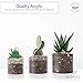 Royal Imports Flower Acrylic Vase Decorative Centerpiece for Home or Wedding by Royal Imports - Break Resistant - 5