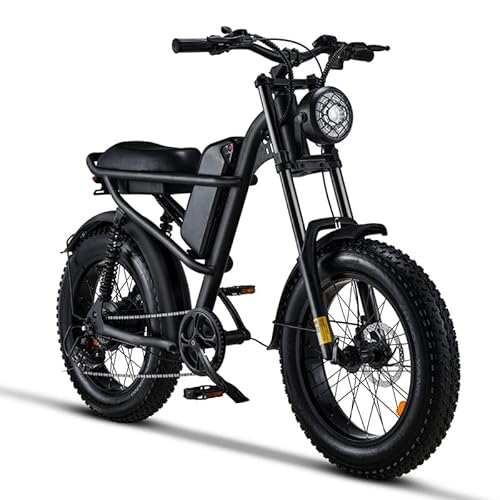 Riding'times 1500W Moped Style Electric Bike, 20 Inch Fat Tire