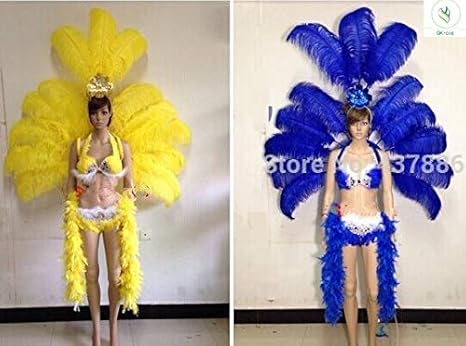 Amazon サンバ 衣装 羽 コスプレ ダンスショー シンガー カーニバル パーティー 祭り カラー選択可 コスプレ 仮装 通販