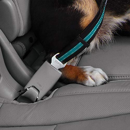 Kurgo Direct to Seatbelt Swivel Tether for Dogs Universal Car Seat Belt for Pets Adjustable Length Dog Safety Belt Carabiner Clip Easy Installation Compatible with Any Pet Harness (Blue) - Thumbnail 7