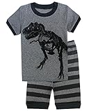 Family Feeling Little Boys Dinosaur 2 Piece Pajamas Shorts Sets 100% Cotton Pjs