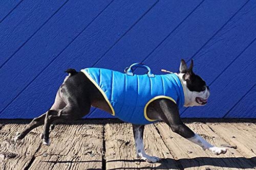 dog jacket with handle