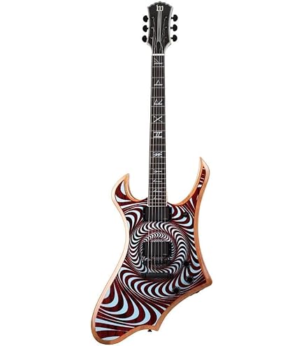 Amazon.com: Schecter Hellraiser C-1 with Floyd Rose and Sustainiac