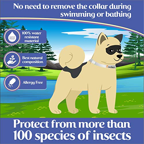 Dog Flea and Tick Collar - Flea and Tick Prevention for Dogs Up to 1 Year Easily Adjustable and Waterproof for Large Small Dogs Flea and Tick Control - Natural Dog Flea Collar for Pet 24.5