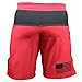 Sanguine Men Shorts, Workout Shorts, WOD Shorts, Training Shorts for Men (Red, Large)