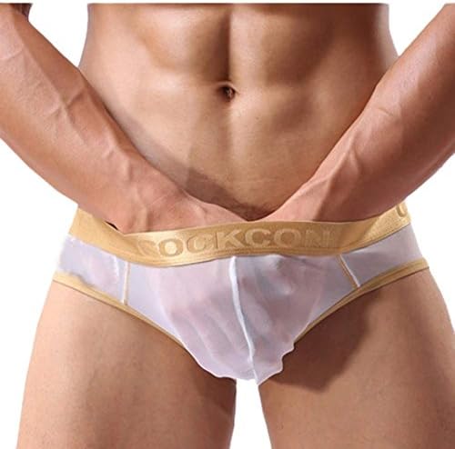 TATGB Mens Underwear Men Sexy Through Mesh Shorts Briefs Underwear NN-1