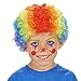 Rainbow Clown Child Dress Up Wig
