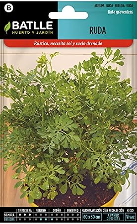 Semillas Aromáticas - Ruda - Batlle: Amazon.es: Jardín