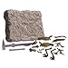 Wonderology – Science Kit – Fossil Discoveries