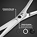 Candure Beard Mustache Scissors 5.5
