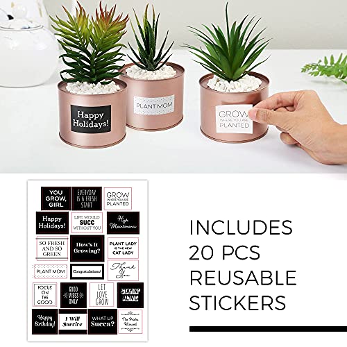 LotFancy Faux Succulents Plants for Desk Decor, Office Artificial Potted Fake Plants for Bedroom Kitchen, 3 Pcs Plastic Artificial Succulents with Metallic Rose Gold Jars & Decoration Accessories