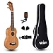 VIVICTORY Soprano Ukulele 21 Inch Mahogany Aquila String With Beginner Kit : Tuner, Gig Bag, Straps and Picks - Natural Color