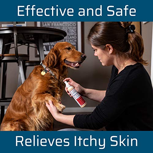 Wondercide-Natural-Products-Skin-Tonic-Hot-Spot-Itch-Relief-Spray-for-Dogs-and-Cats-Soothing-First-Aid-Remedy-for-Pets-for-Dry-Itchy-Skin-Allergy-Rash-Relief