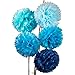 Fecedy™ 18pcs Tissue Paper Pom Poms Flower Ball for Wedding,Festival,Party Decoration (Blue)