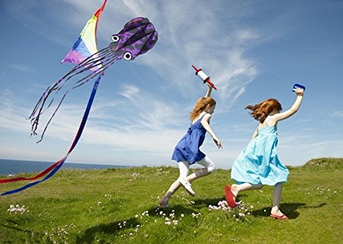 image for Kizh Large Kite Spool with 500ft String 50lbs Kite Line Accessory Line