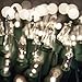 Holiday Joy - 300 Count Clear White Green Wire Christmas Tree String Lights - Indoor/Outdoor (300 Clear White - Green Wire)