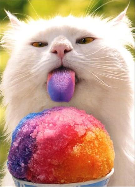 Cat licking cone Clearance