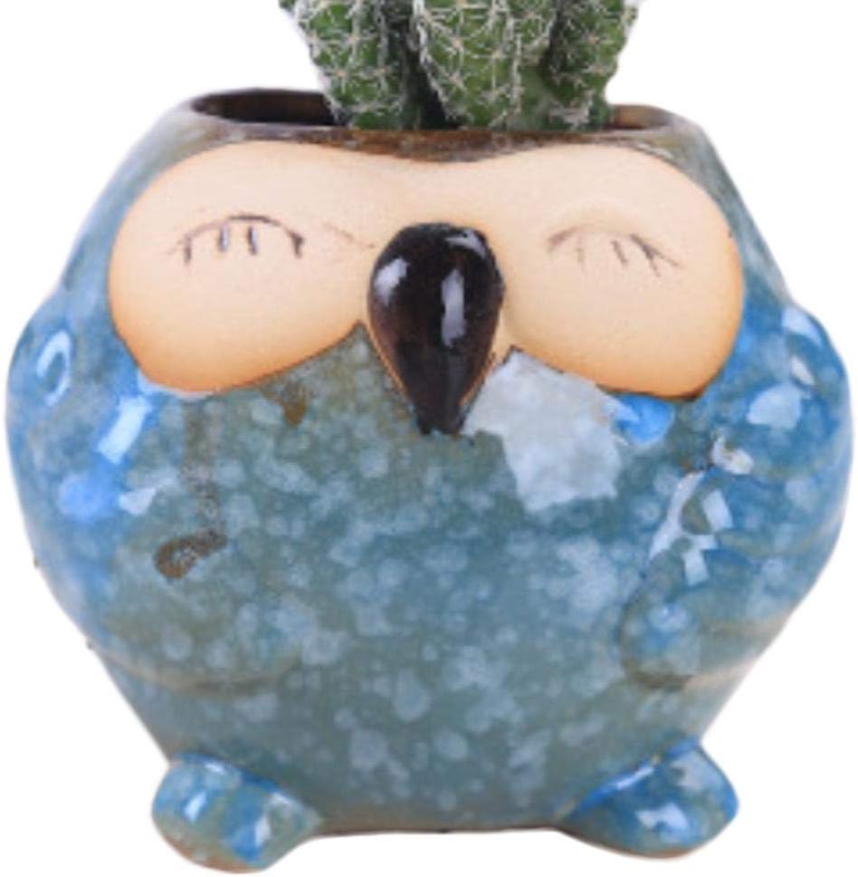Noete Succulent Plant Owl-shape Cactus Pot Small Indoor Planter Flower Pot Small Plants Container Gift Present Decoration Ornament for Home Office Balcony Garden-Red Blue Green White Brown Yellow