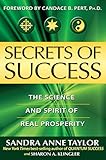 Secrets of Success: The Hidden Forces of Achievement and Wealth by