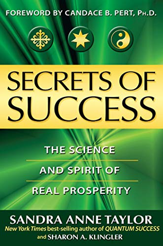 Secrets of Success: The Hidden Forces of Achievement and Wealth by Sandra Anne Taylor