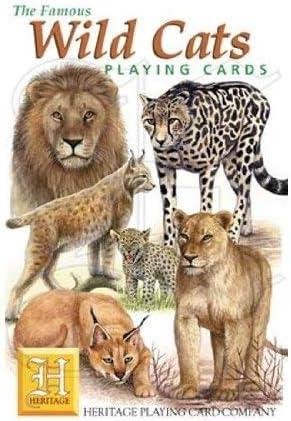 different kinds of wild cats