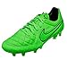 Nike Tiempo Legend V Firm Ground [Wolf Grey/Green Strike]