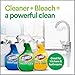 Clorox Clean-Up Bleach Spray (Two 32 oz) & 4 S.O.S All Surface Scrub Sponges