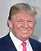 45th President of the USA - Donald Trump / The Donald 8 x 10 / 8x10 GLOSSY Photo Picture IMAGE #15