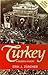Turkey: A Modern History