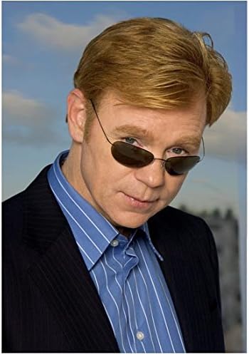 horatio csi sunglasses