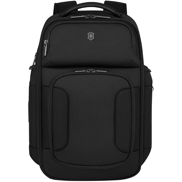 Amazon.com: Victorinox Touring 2.0 City Daypack - Professional