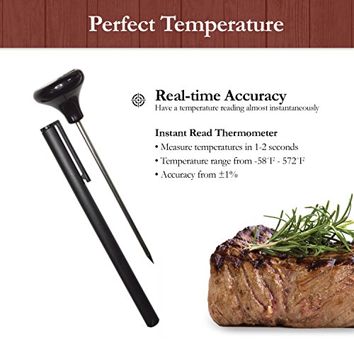 Large Turkey Baster Staineless Steel with Syringe, Meat Thermometer Probe Instant Read, Basting Brush, Cleaning Brush - 5 Pc Set - Oven and Dishwasher Safe