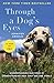 Through a Dog's Eyes: Understanding Our Dogs by Understanding How They See the World by Jennifer Arnold