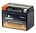Chrome Battery YTZ14S Maintenance Free Replacement Battery for BMW, Honda, Suzuki, and Yamaha Motorcycles: 12 Volts, 11.2Ah, Nut and Bolt (T3) Terminal