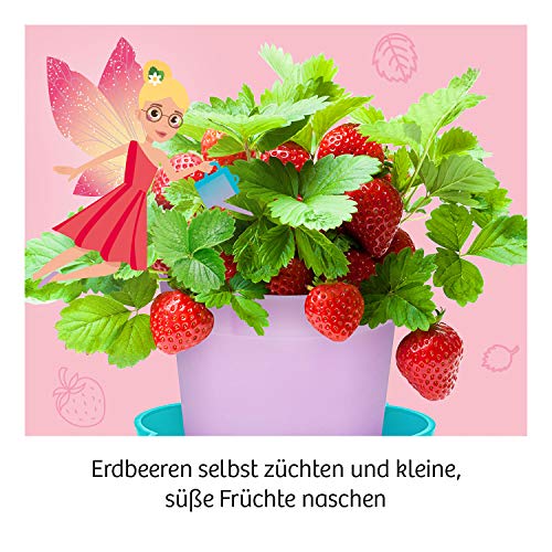 KOSMOS 657819 Feen-Erdbeeren Experimentierset für Kinder, Mädchen ab 6 Jahren, Planzset für Kinder, Experimentier-Set für Kinder – Bild 5